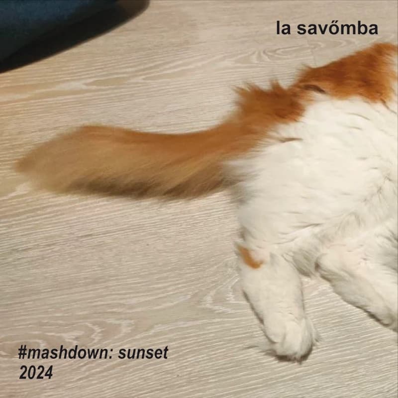la savömba @ #mashdown: sunset cover