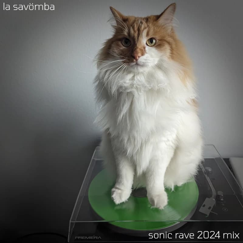 sonic rave 2024 mix cover
